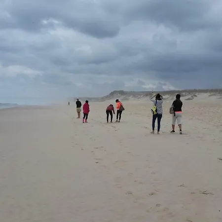 And Surf Appartement